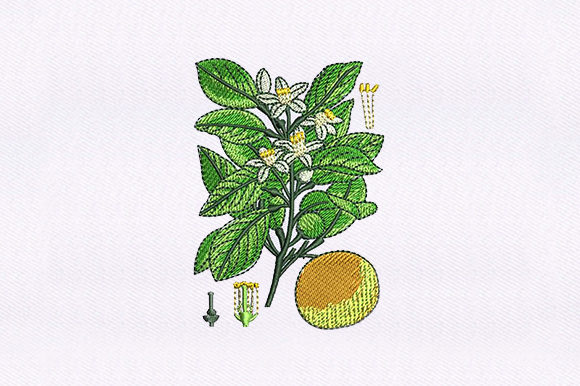 A Professional Review of the Floral Vines Orange Embroidery Design