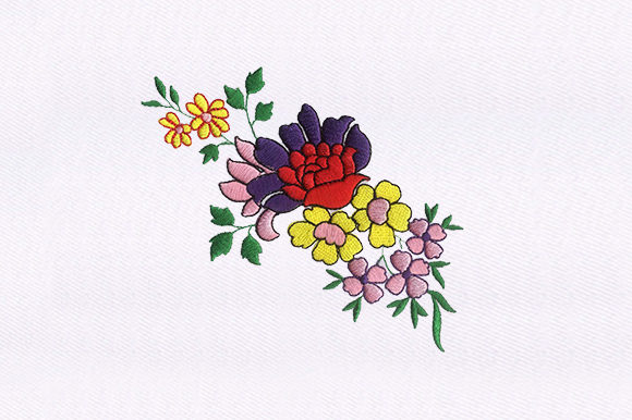 A Professional's Review of Colorful Rose Flowers