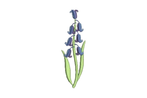 Bluebell Embroidery: A Designer's Review for Boutique Apparel